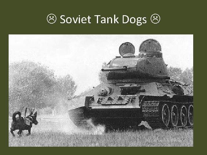  Soviet Tank Dogs 