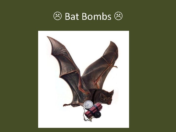  Bat Bombs 