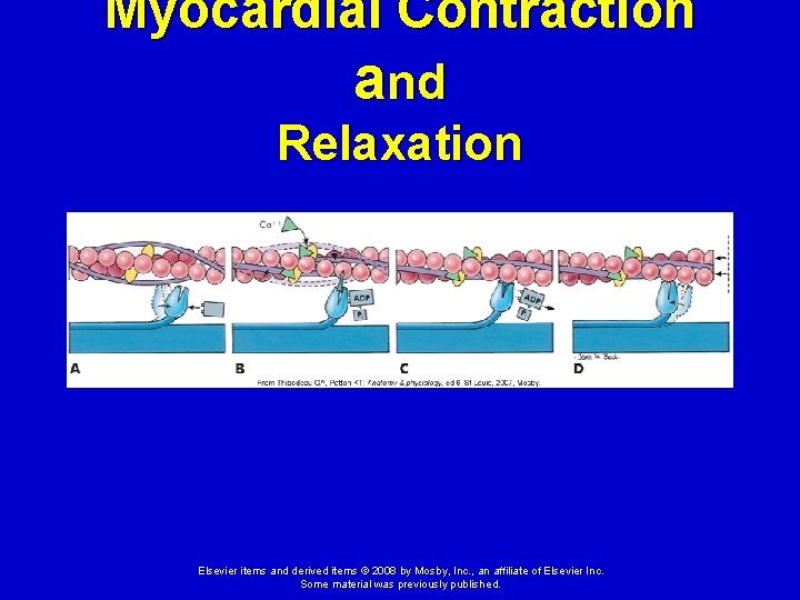 Structure and Function of the Cardiovascular and Lymphatic