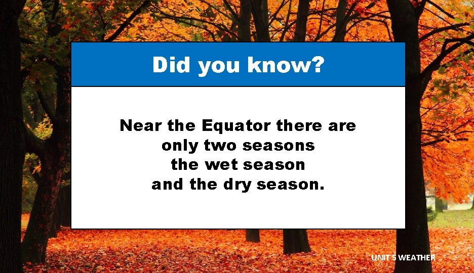 Did you know? Near the Equator there are only two seasons the wet season