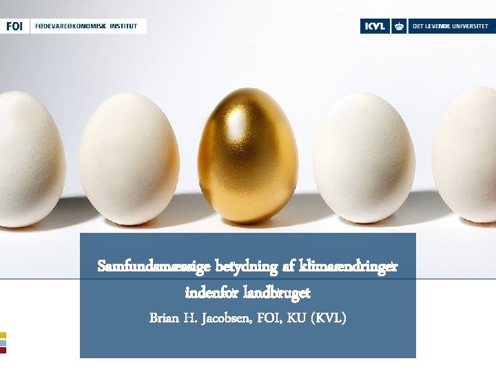 Samfundsmæssige betydning af klimaændringer indenfor landbruget Brian H. Jacobsen, FOI, KU (KVL) 