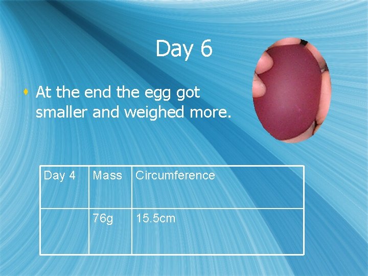 Day 6 s At the end the egg got smaller and weighed more. Day