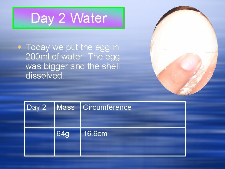 Day 2 Water w Today we put the egg in 200 ml of water.