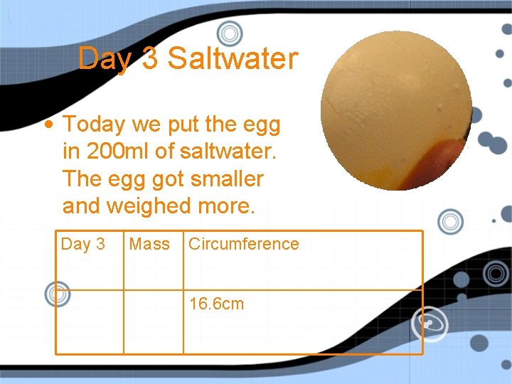 Day 3 Saltwater • Today we put the egg in 200 ml of saltwater.