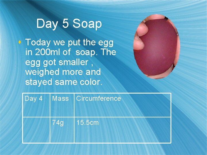 Day 5 Soap s Today we put the egg in 200 ml of soap.