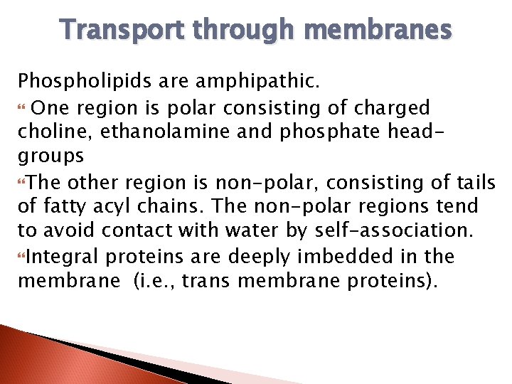 Transport through membranes Phospholipids are amphipathic. One region is polar consisting of charged choline,