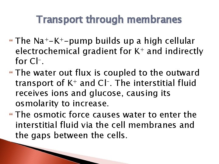 Transport through membranes The Na+-K+-pump builds up a high cellular electrochemical gradient for K+