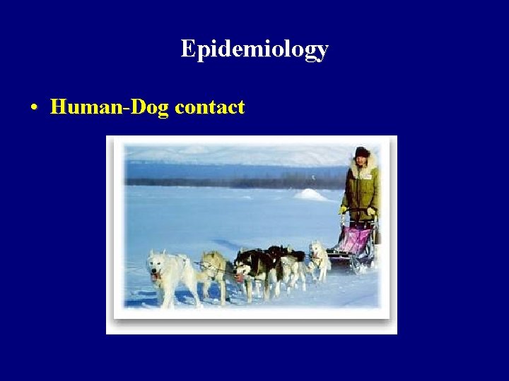 Epidemiology • Human-Dog contact Epidemiology • Human-Dog contact