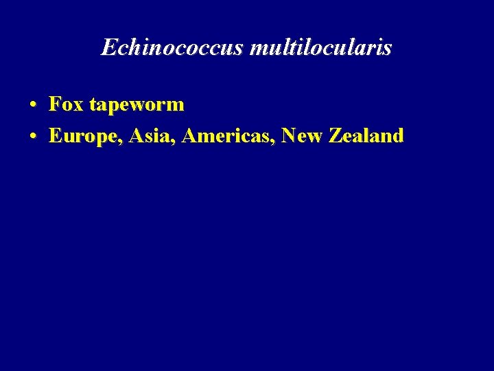 Echinococcus multilocularis • Fox tapeworm • Europe, Asia, Americas, New Zealand Echinococcus multilocularis • Fox tapeworm • Europe, Asia, Americas, New Zealand
