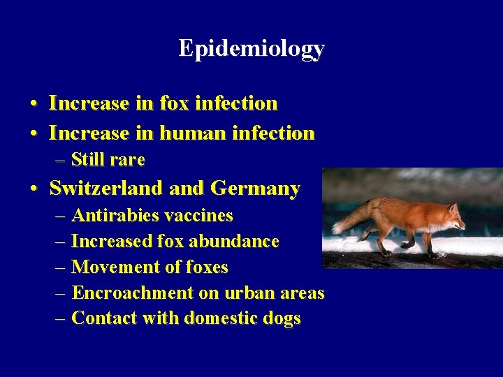 Epidemiology • Increase in fox infection • Increase in human infection – Still rare Epidemiology • Increase in fox infection • Increase in human infection – Still rare