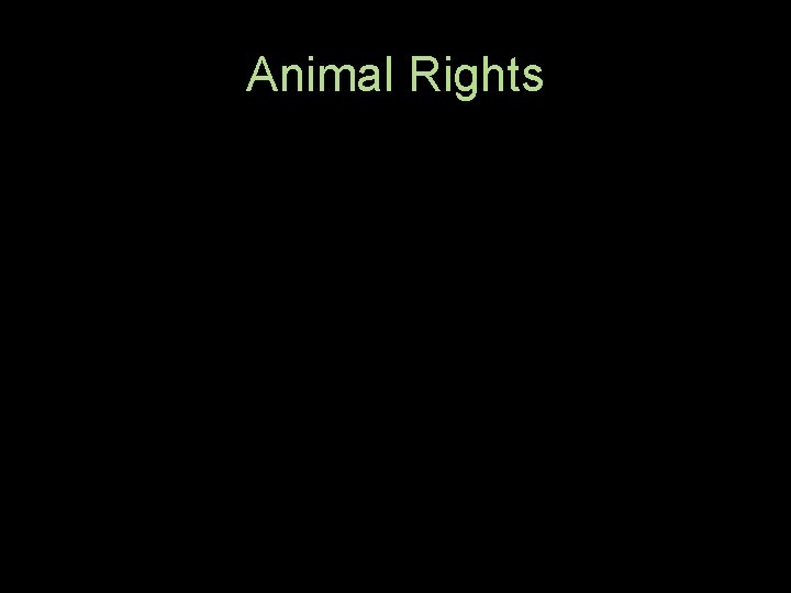 Animal Rights 