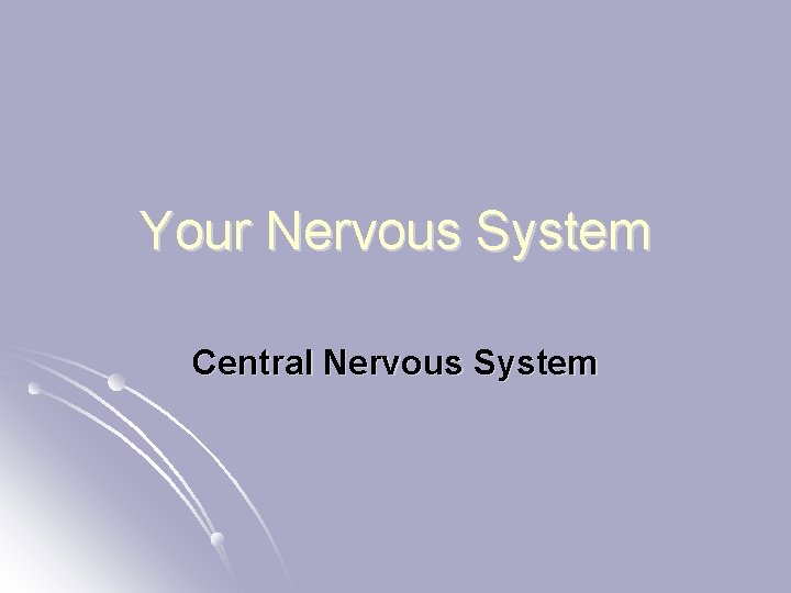Your Nervous System Central Nervous System 