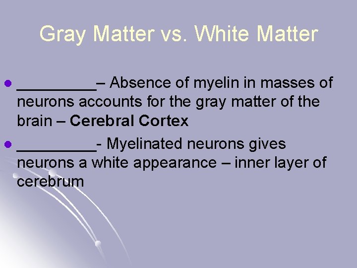 Gray Matter vs. White Matter _____– Absence of myelin in masses of neurons accounts