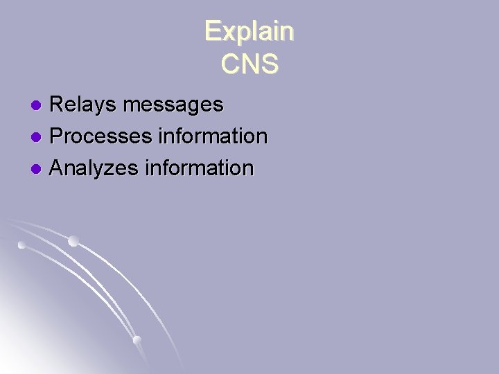 Explain CNS Relays messages l Processes information l Analyzes information l 