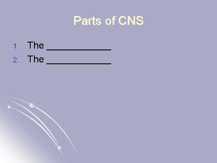 Parts of CNS 1. 2. The ____________ 