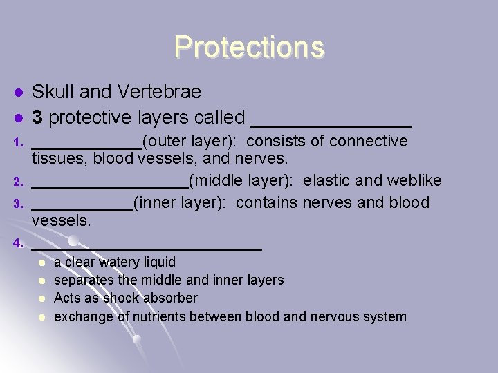 Protections l l 1. 2. 3. 4. Skull and Vertebrae 3 protective layers called