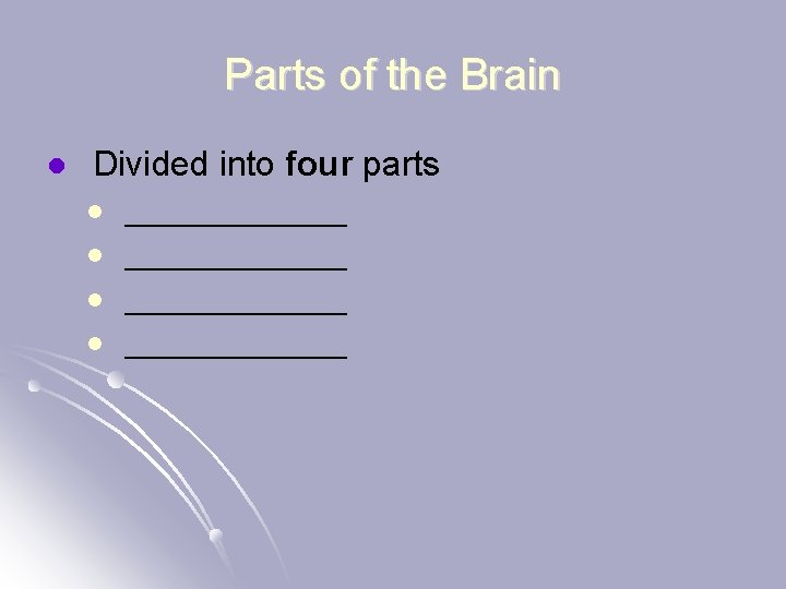 Parts of the Brain l Divided into four parts l l _____________ 