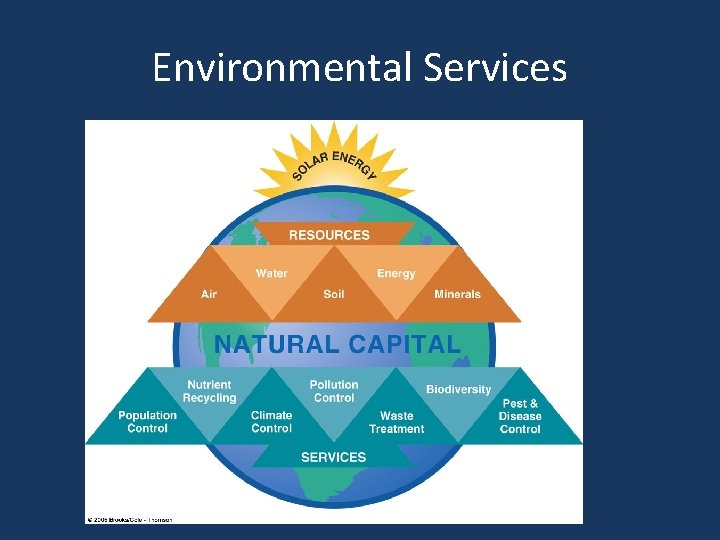 Environmental Services 