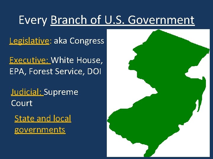 Every Branch of U. S. Government Legislative: aka Congress Executive: White House, EPA, Forest