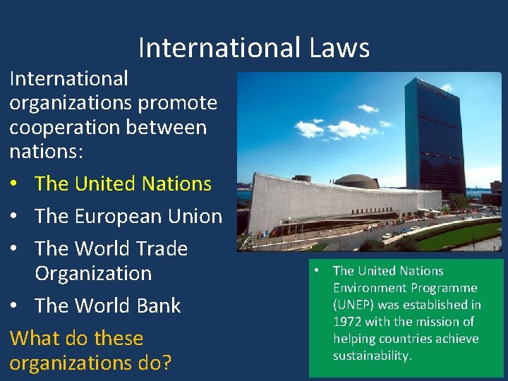 International Laws International organizations promote cooperation between nations: • The United Nations • The