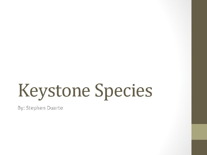 Keystone Species By: Stephen Duarte 