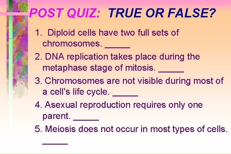POST QUIZ: TRUE OR FALSE? 1. Diploid cells have two full sets of chromosomes.