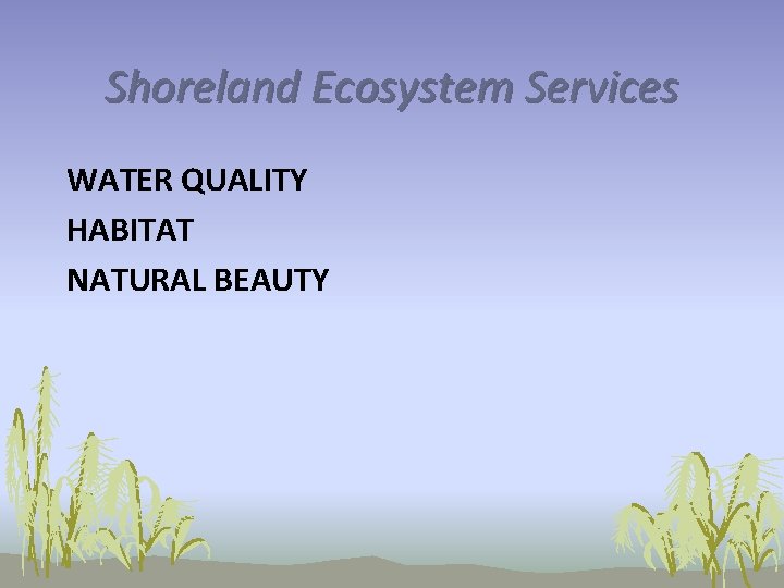 Shoreland Ecosystem Services WATER QUALITY HABITAT NATURAL BEAUTY 