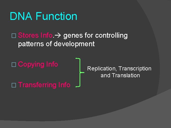 DNA Function � Stores Info. genes for controlling patterns of development � Copying Info DNA Function � Stores Info. genes for controlling patterns of development � Copying Info