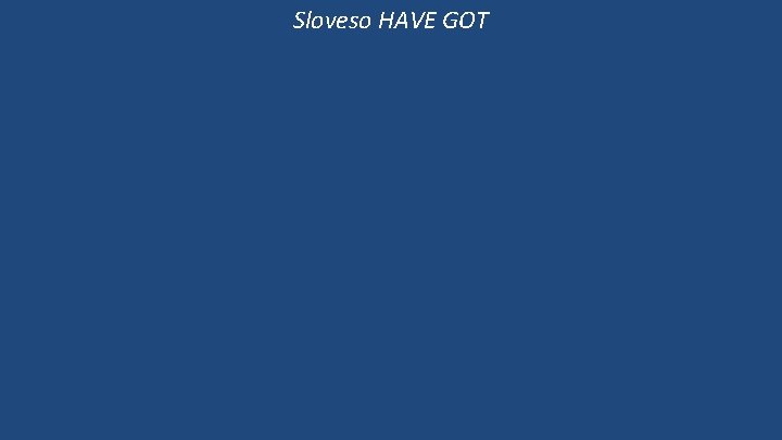 Sloveso HAVE GOT 