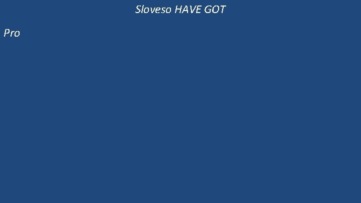 Sloveso HAVE GOT Pro 