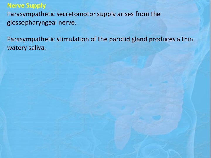 Nerve Supply Parasympathetic secretomotor supply arises from the glossopharyngeal nerve. Parasympathetic stimulation of the