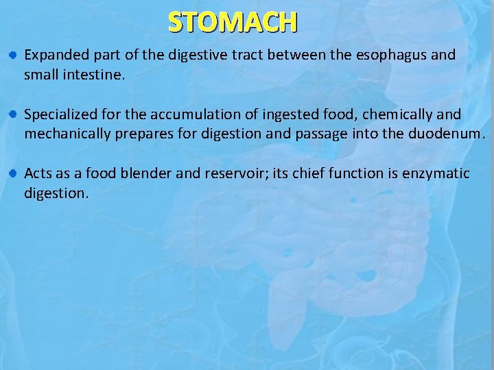 STOMACH Expanded part of the digestive tract between the esophagus and small intestine. Specialized