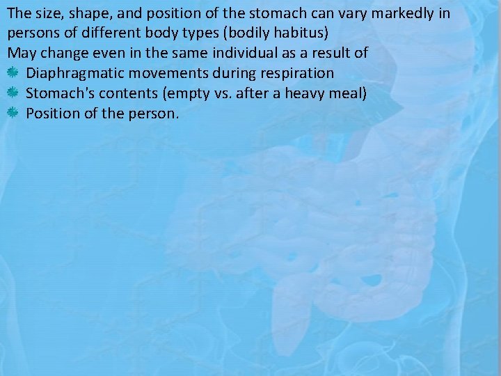 The size, shape, and position of the stomach can vary markedly in persons of