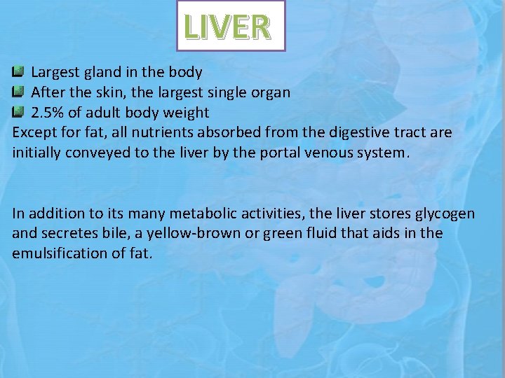LIVER Largest gland in the body After the skin, the largest single organ 2.