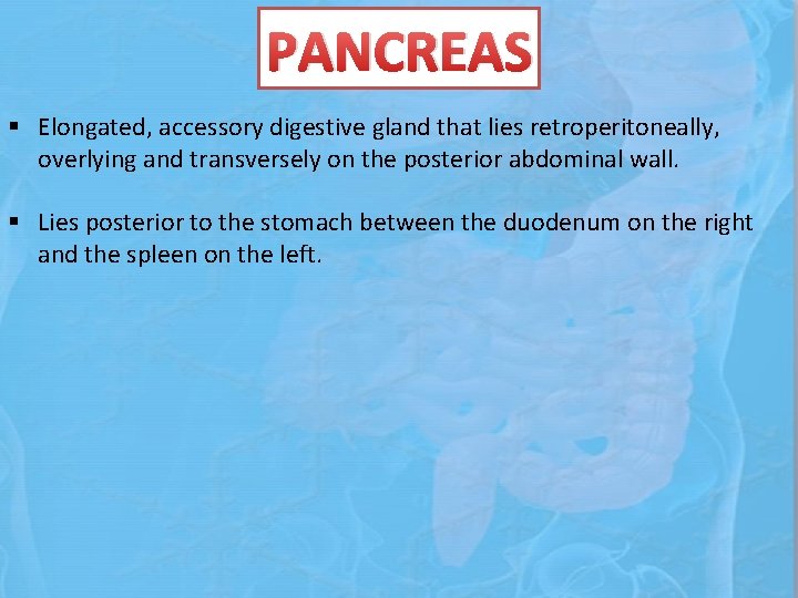 PANCREAS § Elongated, accessory digestive gland that lies retroperitoneally, overlying and transversely on the