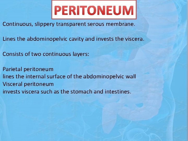 PERITONEUM Continuous, slippery transparent serous membrane. Lines the abdominopelvic cavity and invests the viscera.