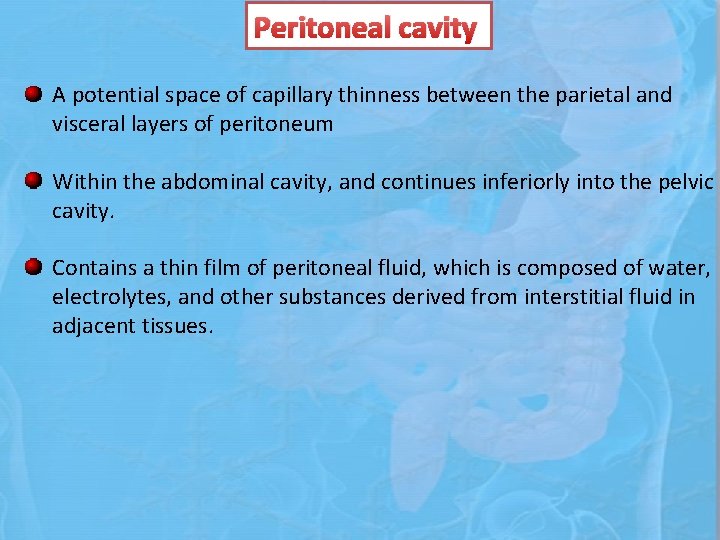 Peritoneal cavity A potential space of capillary thinness between the parietal and visceral layers