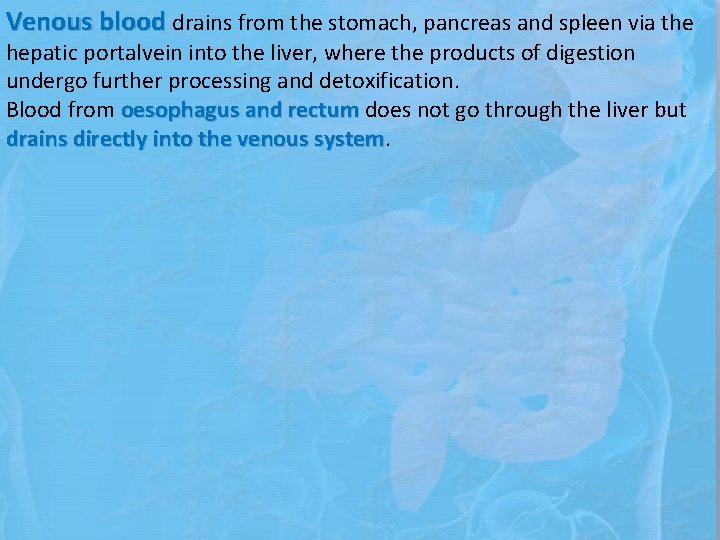 Venous blood drains from the stomach, pancreas and spleen via the hepatic portalvein into