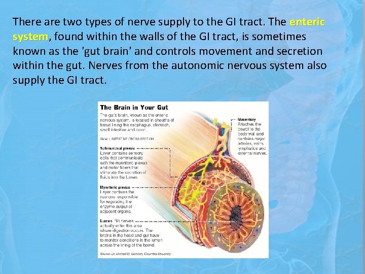 There are two types of nerve supply to the GI tract. The enteric system,