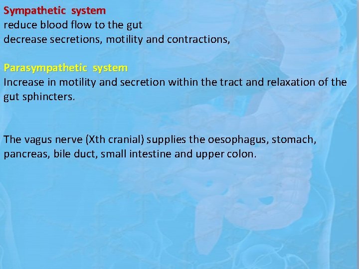 Sympathetic system reduce blood flow to the gut decrease secretions, motility and contractions, Parasympathetic