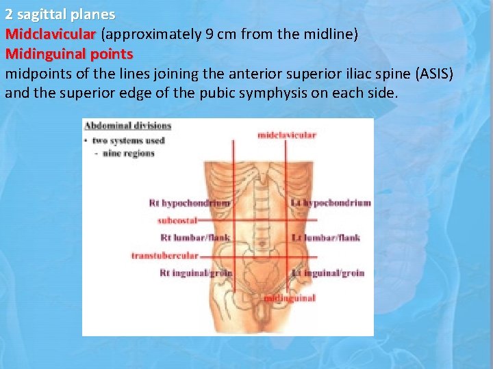 2 sagittal planes Midclavicular (approximately 9 cm from the midline) Midinguinal points midpoints of