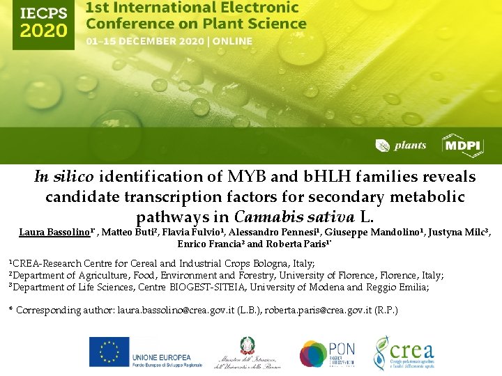 In silico identification of MYB and b. HLH families reveals candidate transcription factors for