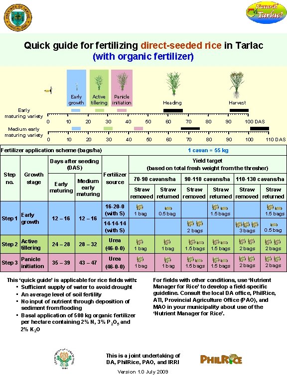 Quick guide for fertilizing directseeded rice in Tarlac
