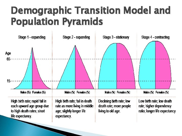 Demographic Transition Model and Population Pyramids 