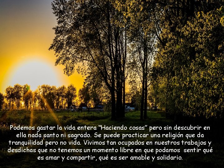 Podemos gastar la vida entera “Haciendo cosas” pero sin descubrir en ella nada santo