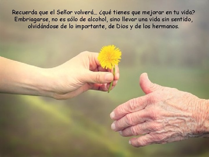 Recuerda que el Señor volverá… ¿qué tienes que mejorar en tu vida? Embriagarse, no