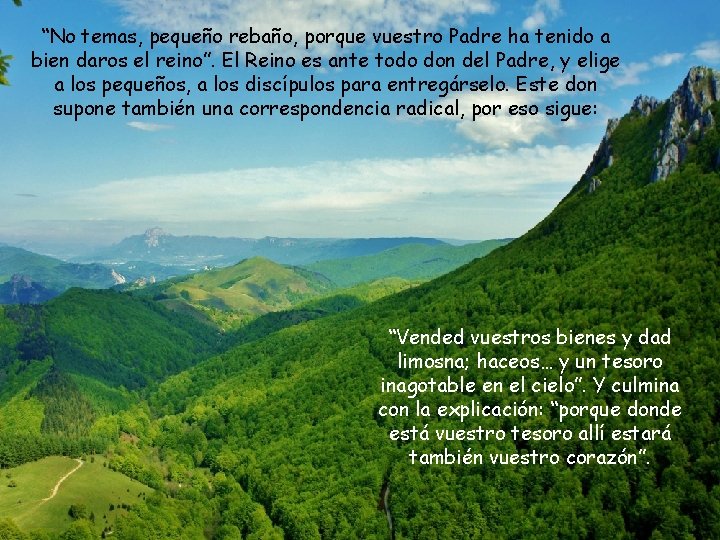 “No temas, pequeño rebaño, porque vuestro Padre ha tenido a bien daros el reino”.