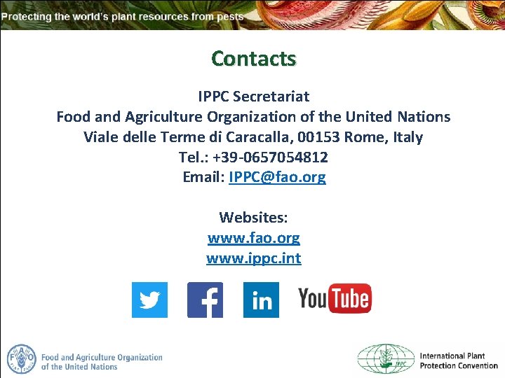 Contacts IPPC Secretariat Food and Agriculture Organization of the United Nations Viale delle Terme