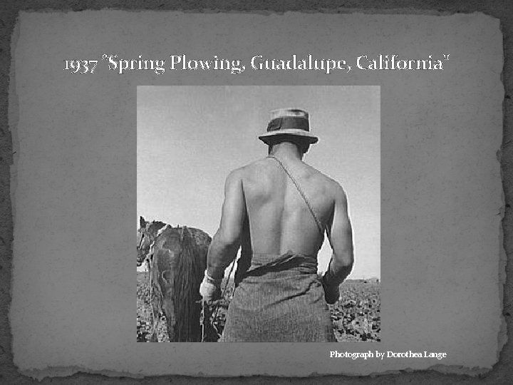 1937 "Spring Plowing, Guadalupe, California" Photograph by Dorothea Lange 