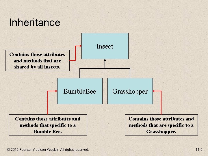 Inheritance Insect Contains those attributes and methods that are shared by all insects. Bumble.